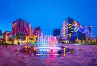 上城区绿叶植物租赁好不好