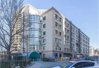 扭扣分选机价格